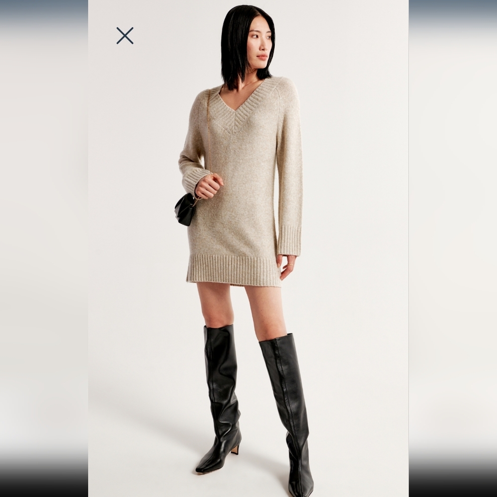Abercrombie & Fitch Long Sleeve Easy Mini Sweater Dress, Size Large Tall, Tan